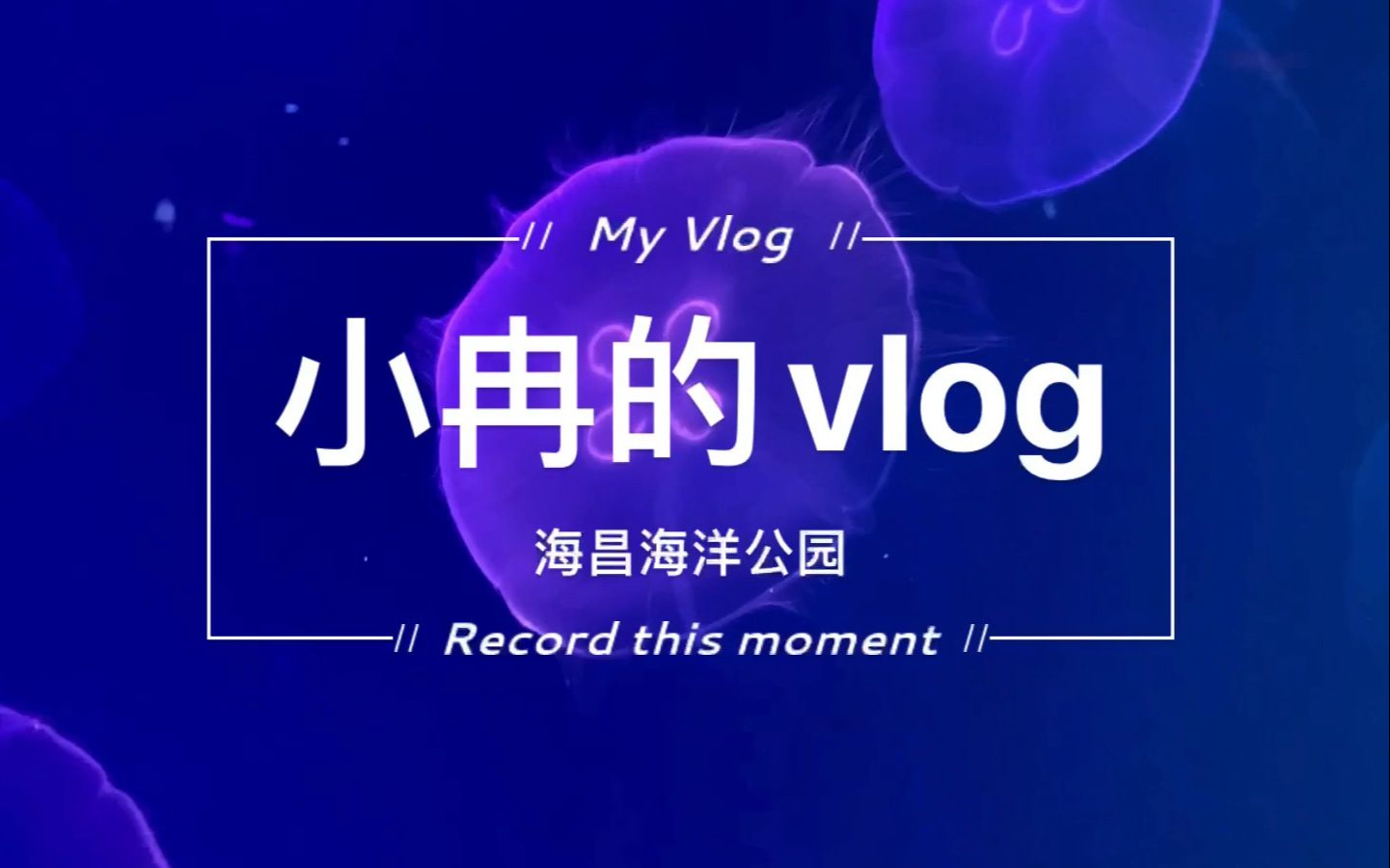 上海海昌海洋公园vlog哔哩哔哩bilibili