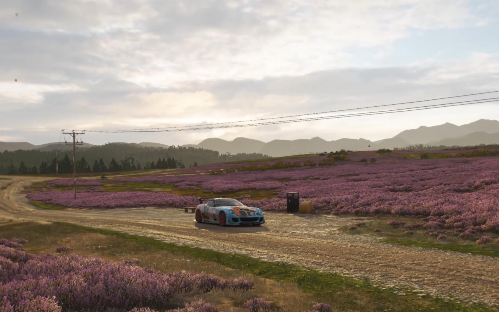 地平线4 粉色花海