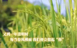 Download Video: 他们盛开在每一个春天