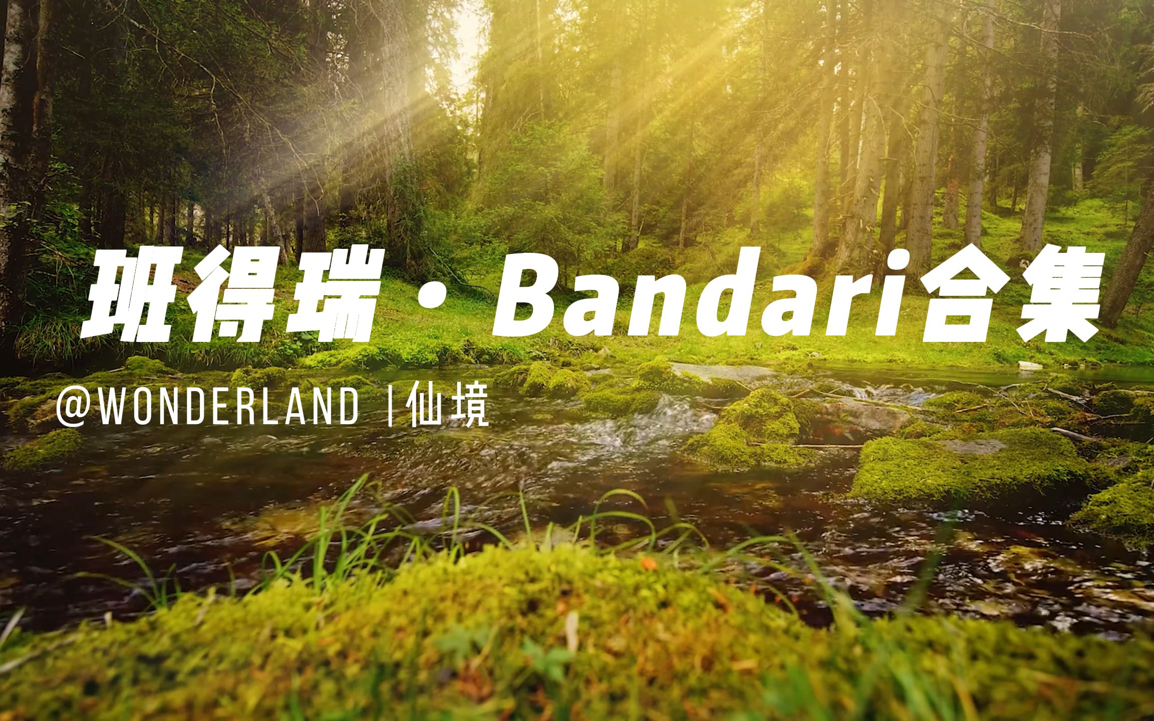 班得瑞bandari音乐合集 wonderland 仙境