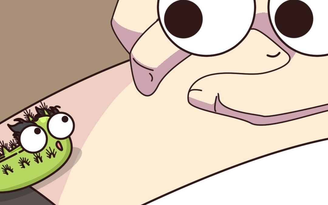 你被洋辣子蛰过吗?