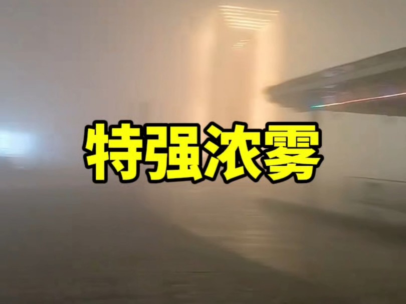 能见度不足50米!特强浓雾下的保定和华北等地【11.2日】哔哩哔哩bilibili