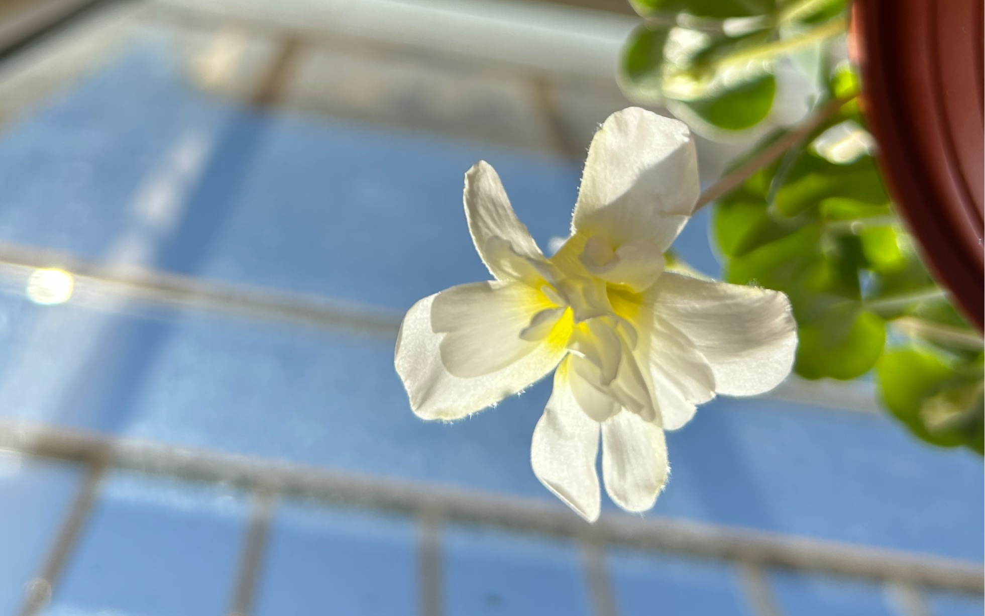 [图]我和我的花花世界