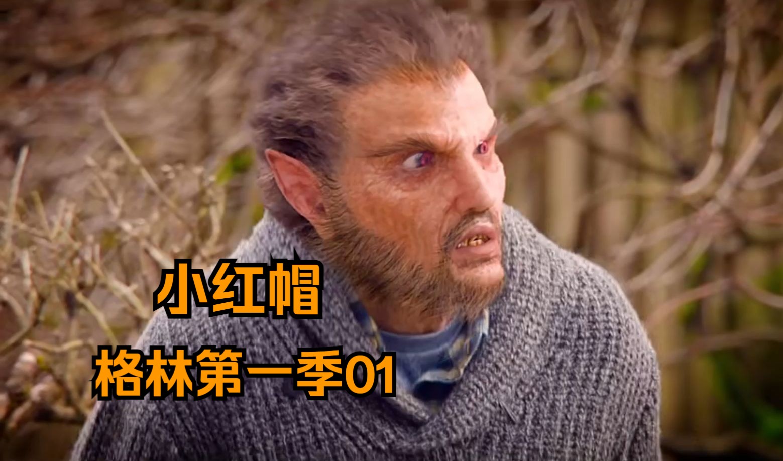 多名红衣少女离奇被害,凶手居然是狼人.《格林01》小红帽