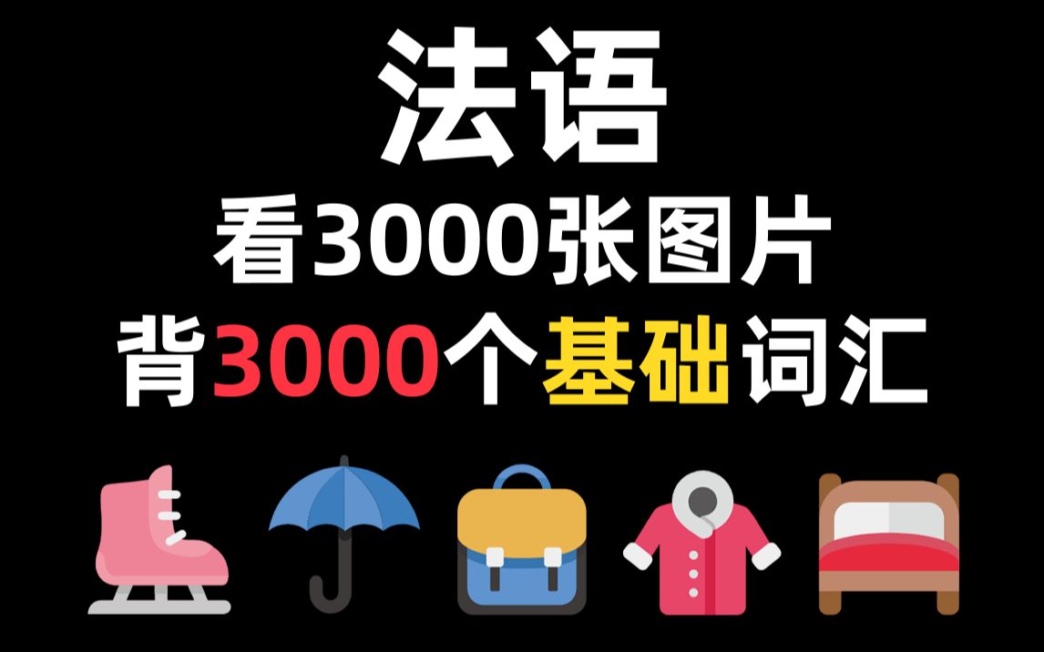 [图]【法语学习】10天搞定3000法语基础词汇，0基础直达A2 | 中法字幕