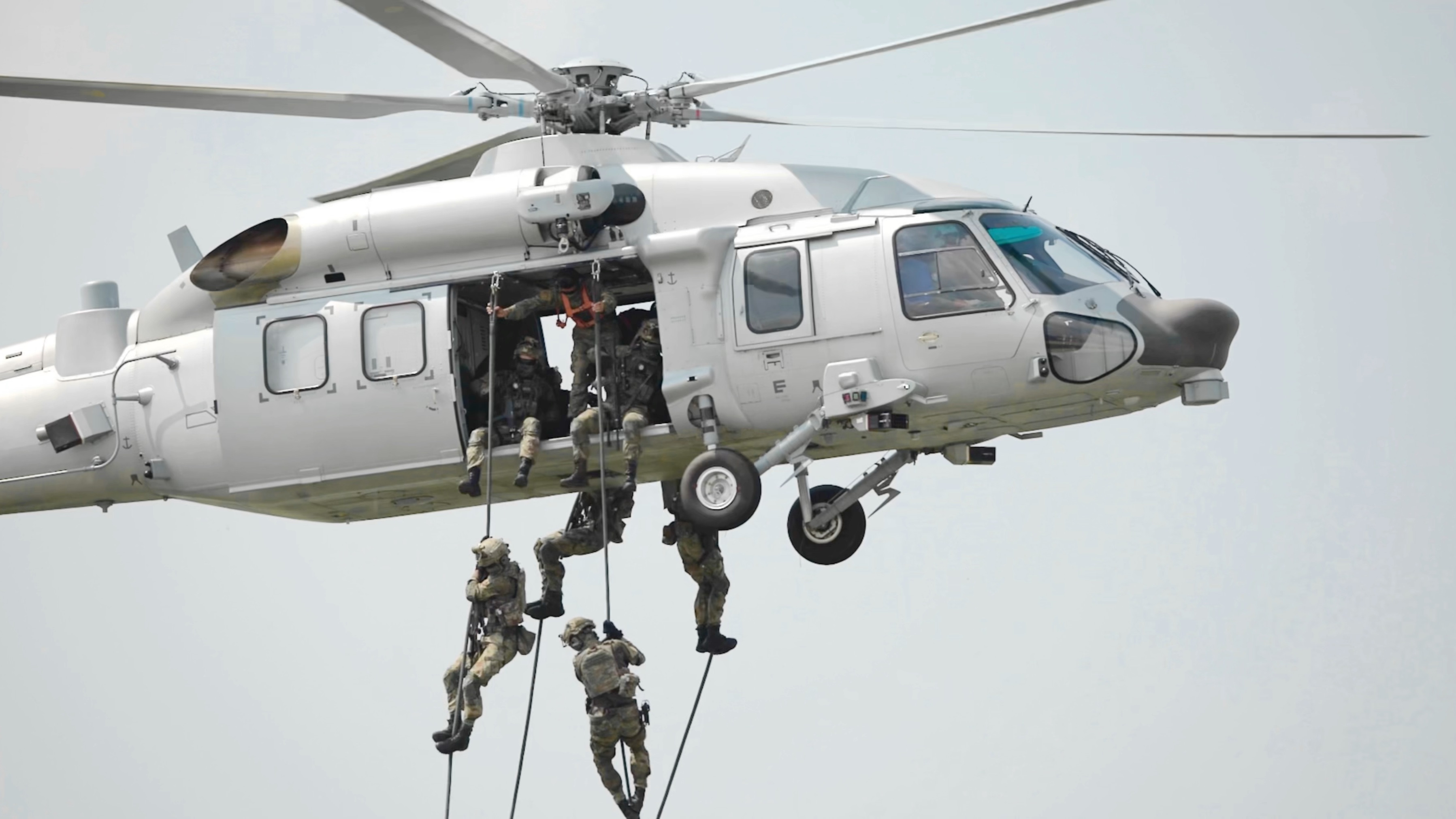 z20版黑鹰直升机 霉菌看了也得愣两眼