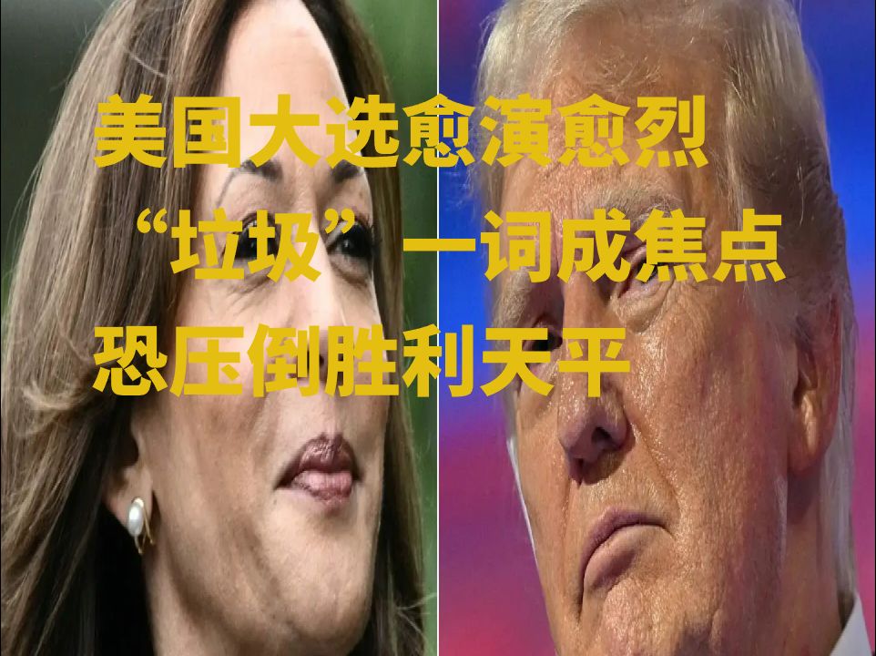 美国大选愈演愈烈 “垃圾”一词成焦点 恐压倒胜利天平哔哩哔哩bilibili