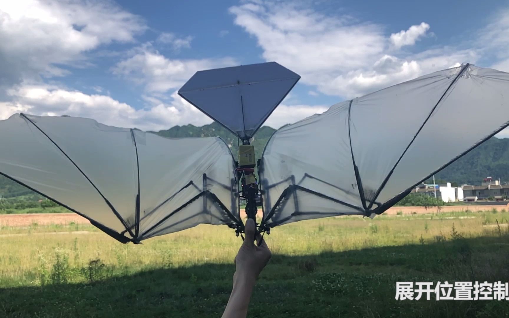 初代样机——"小隼"展向折叠仿生扑翼飞行器