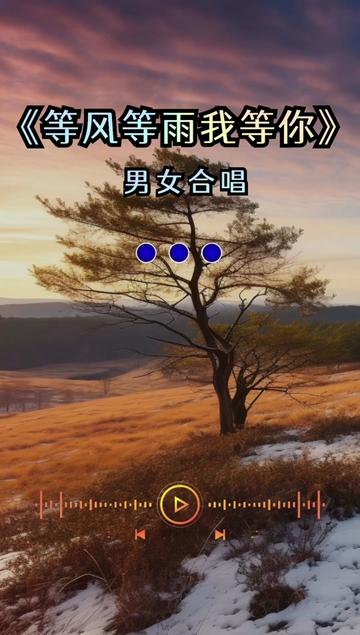 等风等雨我等你 #情感音乐 #热门音乐97 #音乐分享