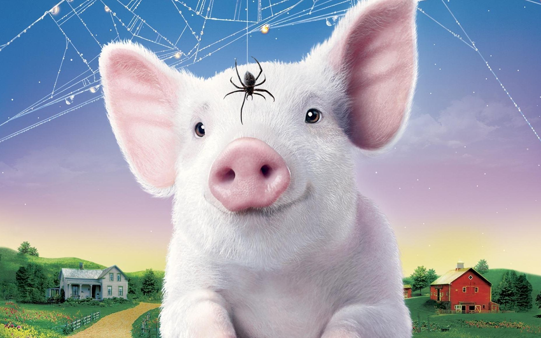 【小u】当猪猪遇到蛛蛛,一段跨越种族的感情,带你走进《夏洛特的网》!