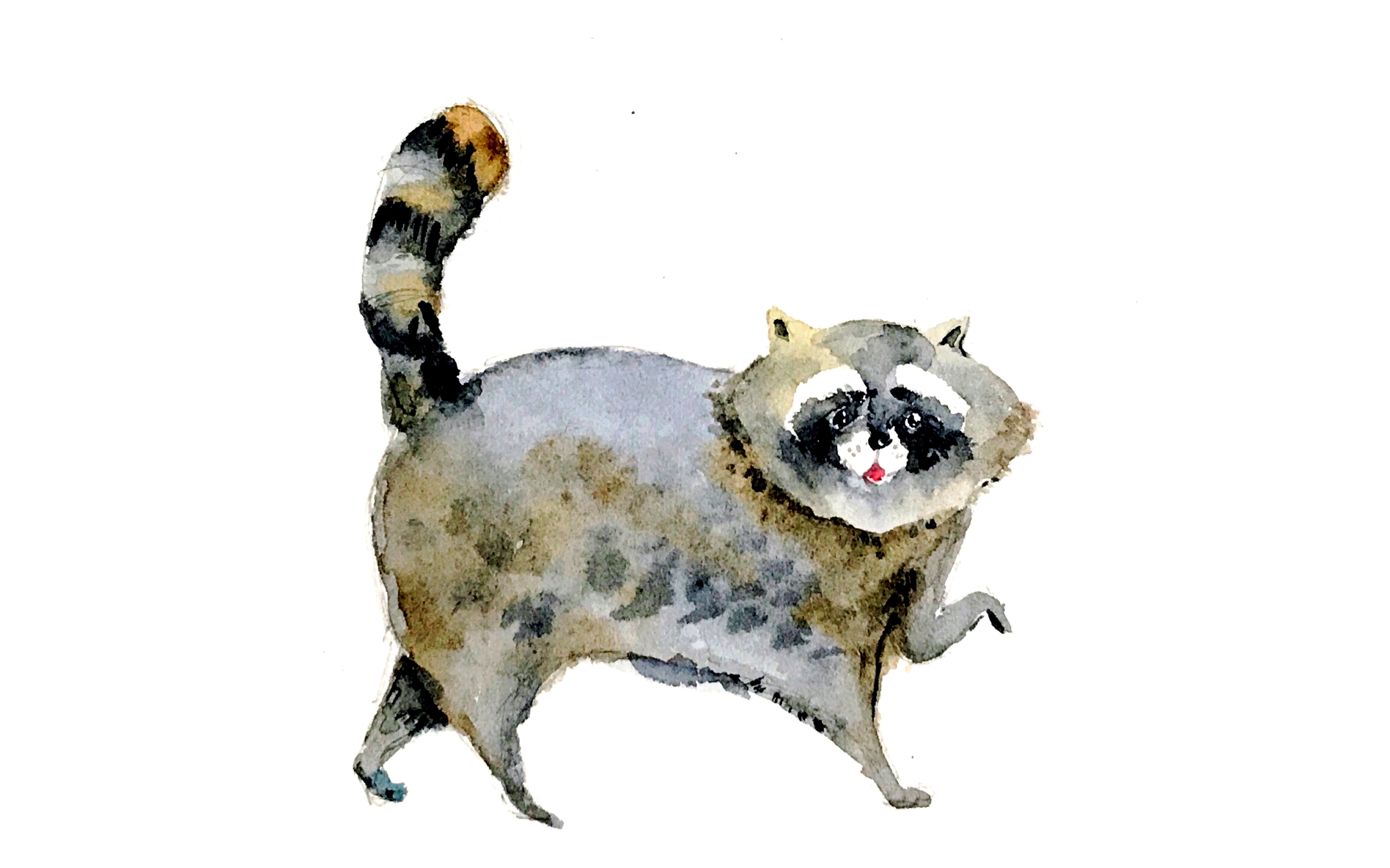 【水彩】小动物一只过程_哔哩哔哩_bilibili