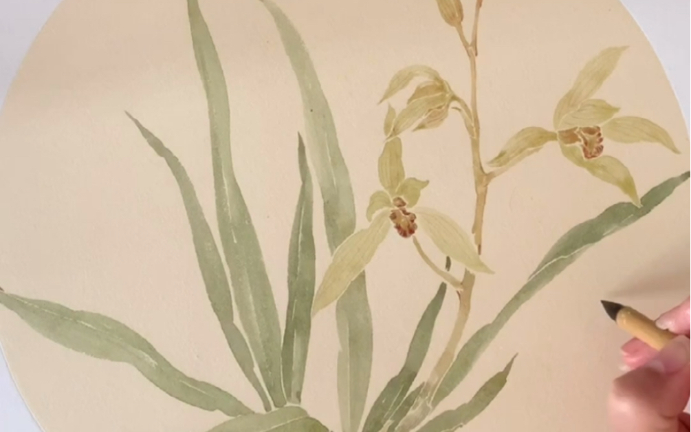 兰花—没骨画法_哔哩哔哩_bilibili