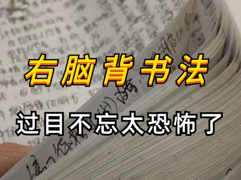 我不允许你还不知道这个右脑记忆法,绝绝子!原来右脑记忆力比左脑强大100万倍!不靠死记硬背,就用这个右脑背书法,三天背烂一本书哔哩哔哩bilibili