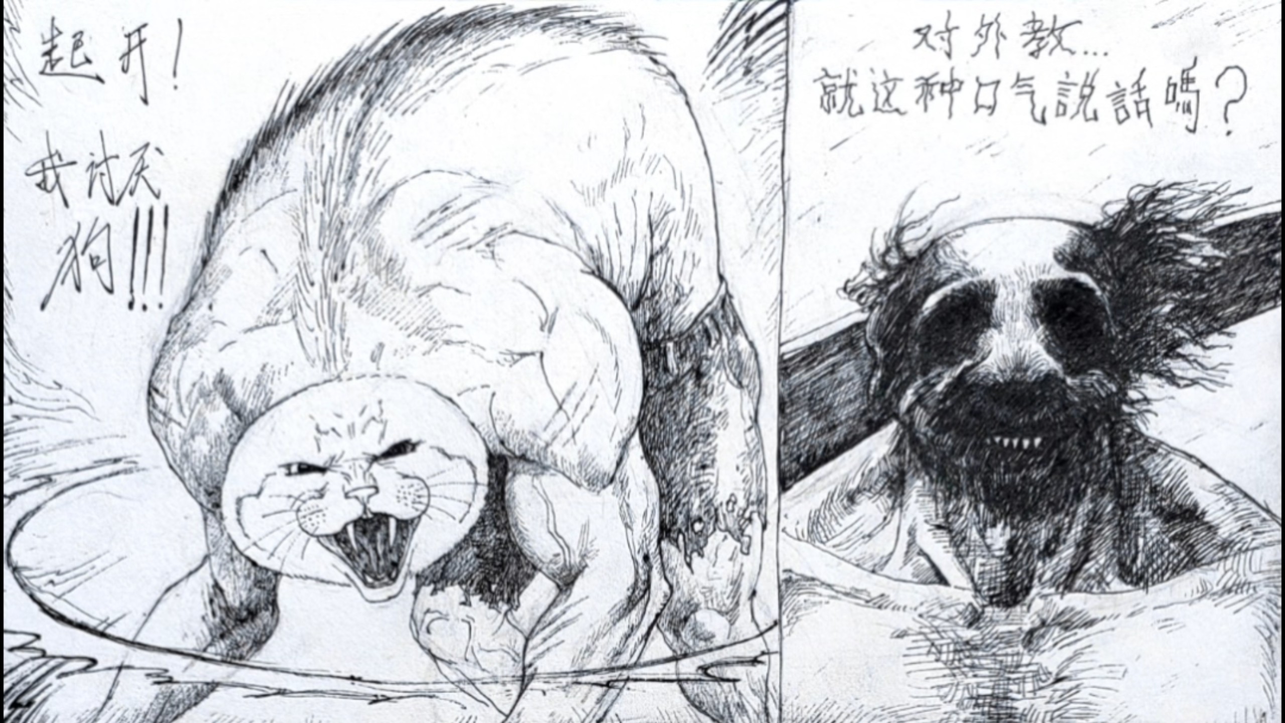 “猫爹大战外教”