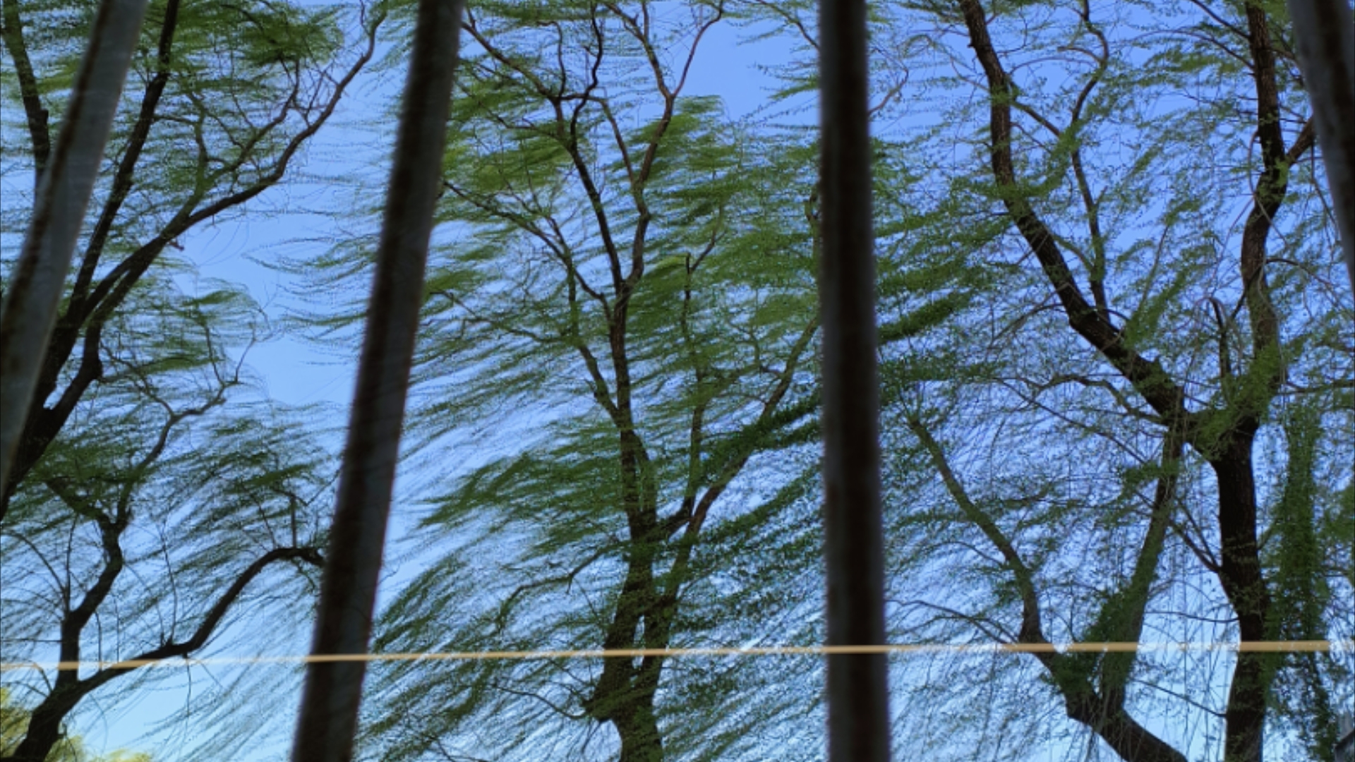 感受一下今日北京大风