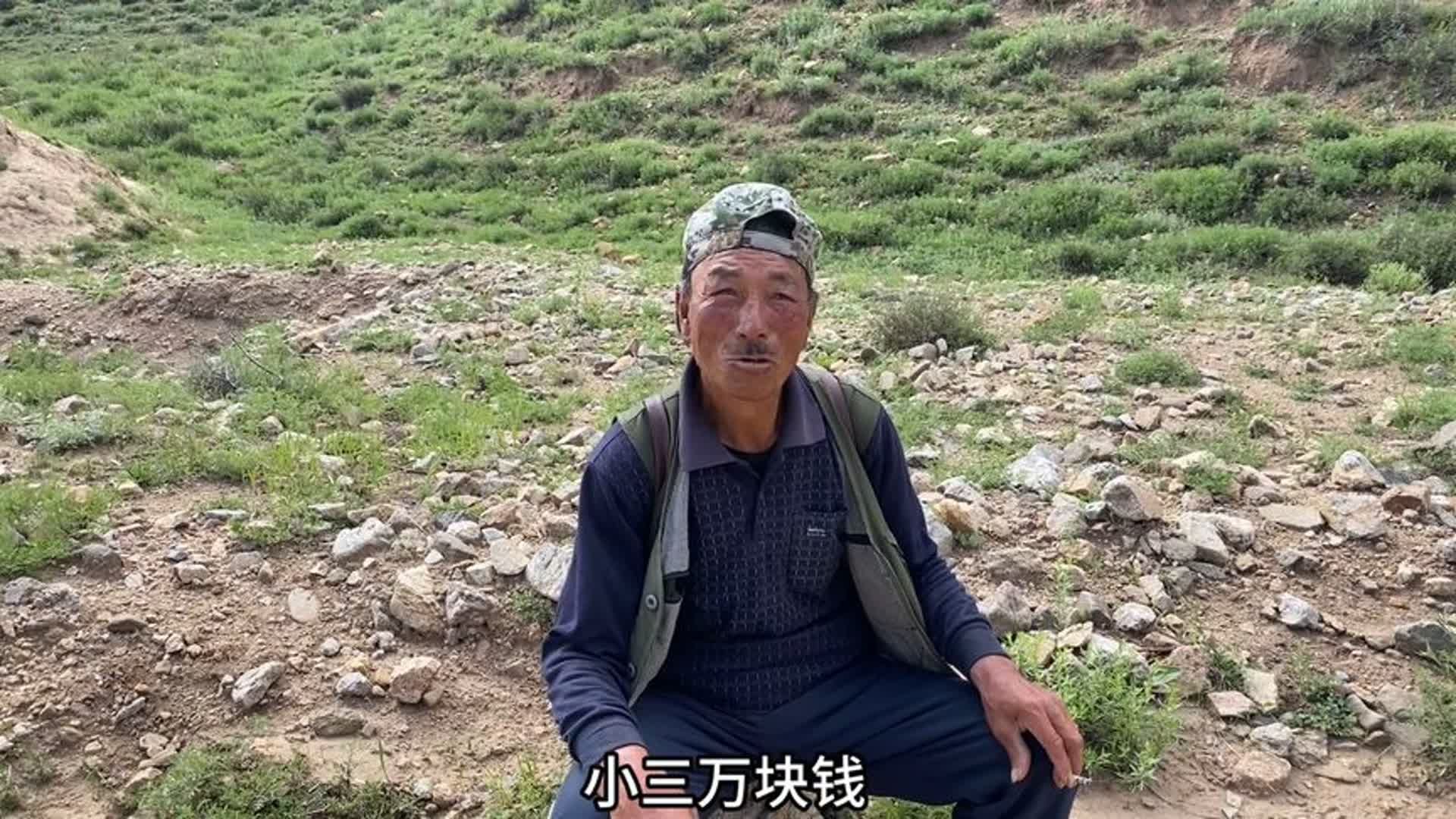 内蒙深山只住的一户小村,放羊时刻防着野生动物,就怕小羊被叼跑哔哩哔哩bilibili