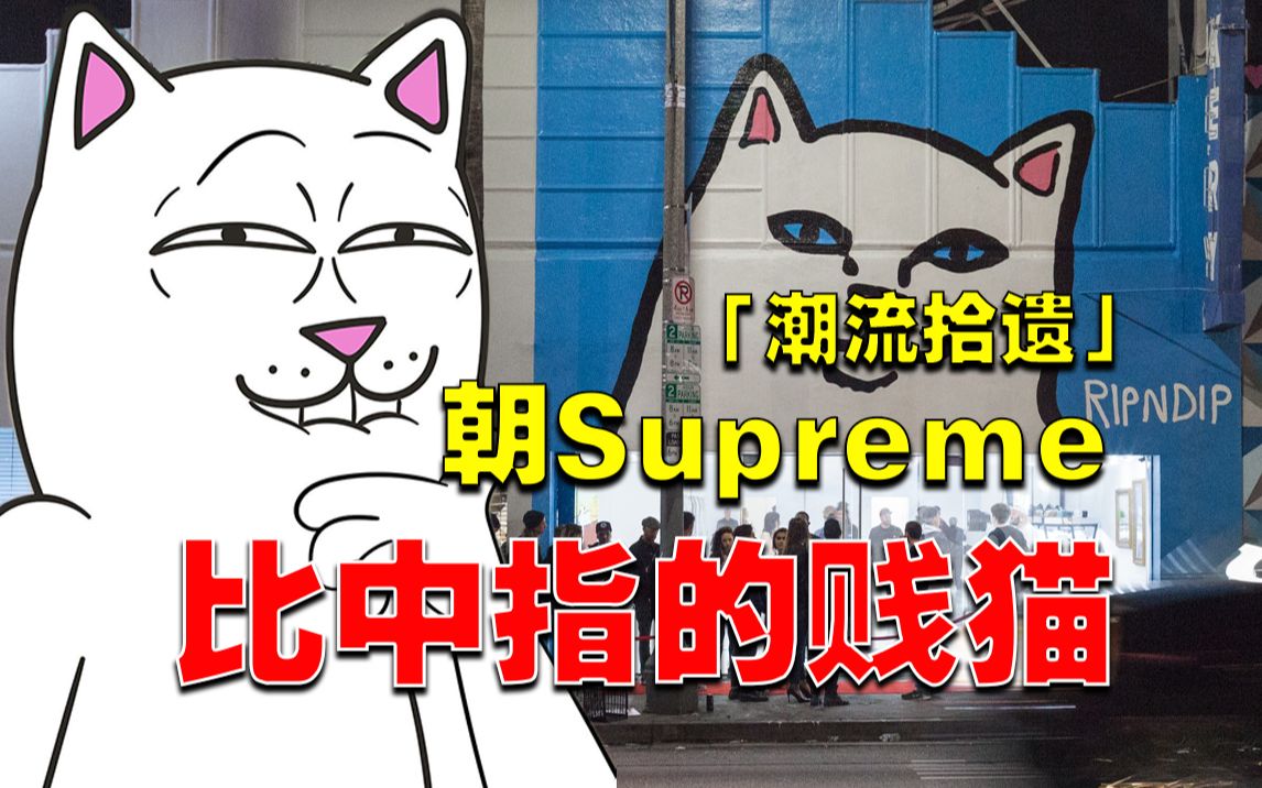 曾经对Supreme贴脸比中指的“贱”猫现在咋样了?哔哩哔哩bilibili