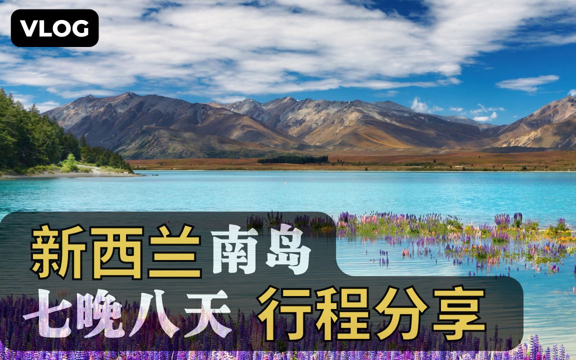 新西兰旅游|南岛八日游攻略|行程分享|自驾游|旅游心得感受|网红店|硬核分享|新西兰南岛|基督城|皇后镇|蒂卡普湖哔哩哔哩bilibili