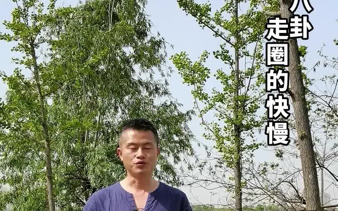 [图]八卦掌 走圈的快慢