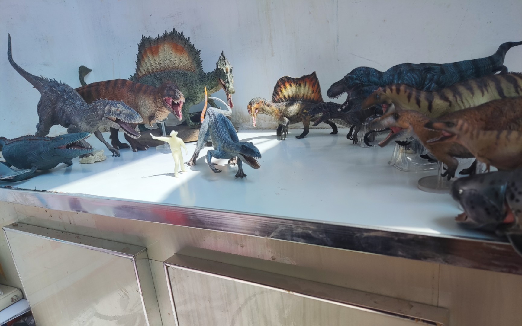 白色暴虐迅猛龙(狂盗龙)开箱