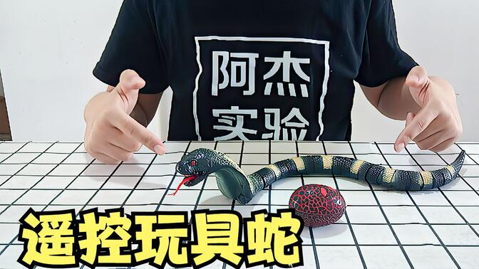 开箱:遥控眼镜蛇玩具,动起来很逼真,给她吓一跳!