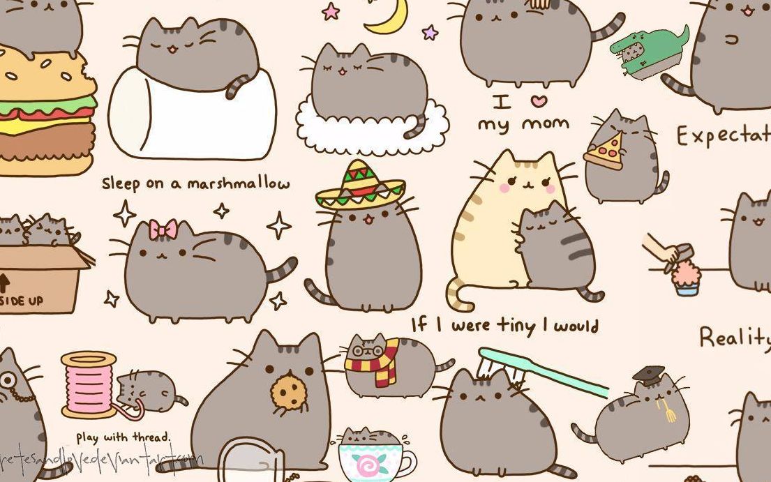 【开箱】在新西兰买pusheen cat是什么样的体验_哔哩哔哩 (゜-゜)つロ