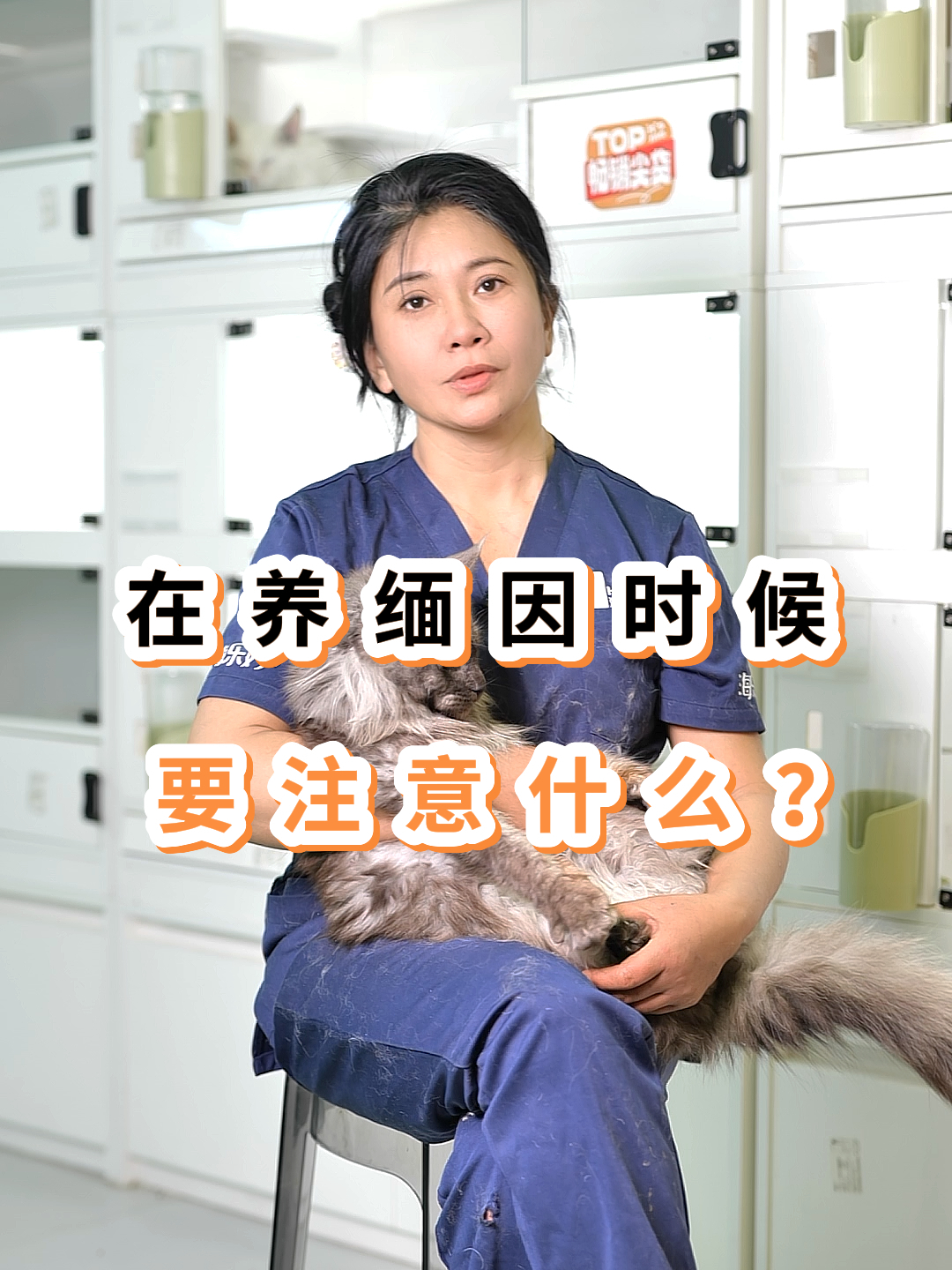 正规,纯种缅因猫多少钱?浙江,杭州,宁波缅因猫哪家好,排行怎么样?附近缅因猫猫舍推荐.专业,靠谱缅因猫金宠猫舍店,价格实惠,缅因猫品相,...