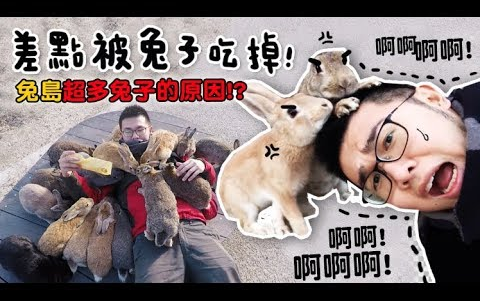 被兔淹没不知所措,日本兔岛之旅!日本Vlog哔哩哔哩bilibili