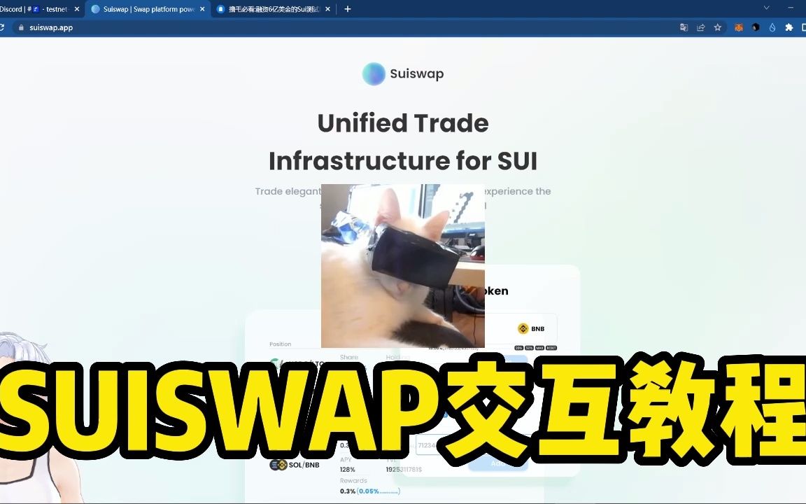 【元宇宙的猫】SUI测试网交互SuiSwap教程哔哩哔哩bilibili