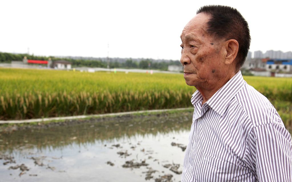 【中国3分钟】除了“禾下乘凉梦” 袁隆平生前还说过这样一句话……哔哩哔哩bilibili