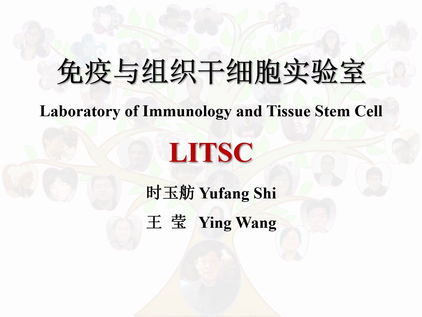 中国科学院上海营养与健康研究所免疫与组织干细胞实验室招生宣传哔哩哔哩bilibili