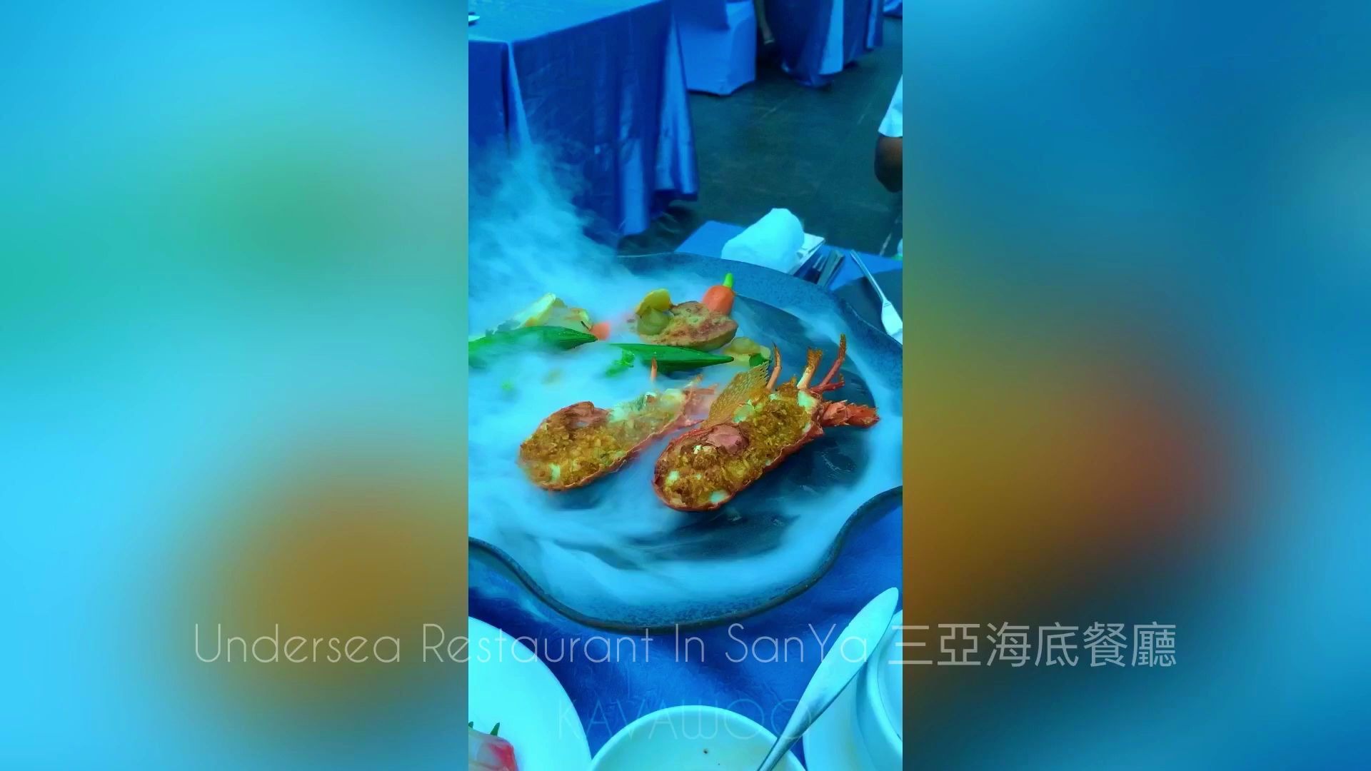 三亚海底餐厅 Undersea Resturant In SanYa哔哩哔哩bilibili