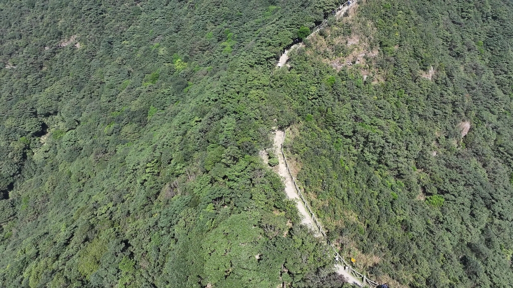 深圳梧桐山登山攻略之百年古道穿越仙湖植物园哔哩哔哩bilibili