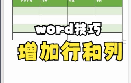 【Word技巧】今天教你如何利用开始功能来完成表格里增加行和列哔哩哔哩bilibili