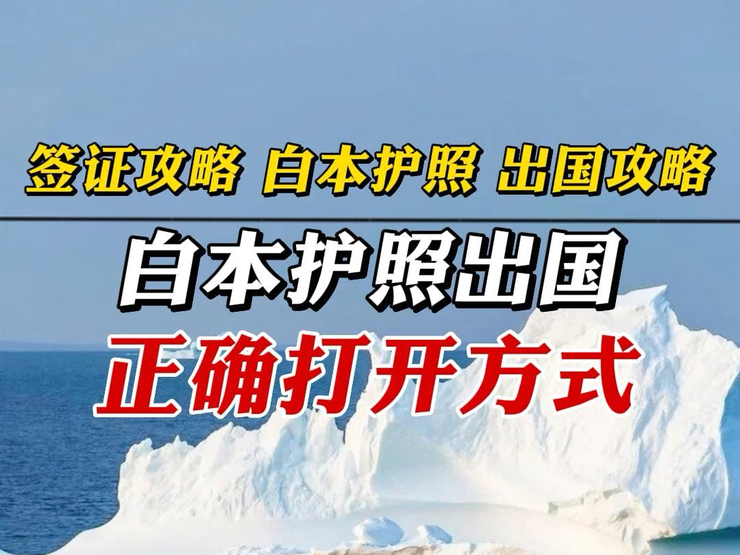 签证攻略白本护照、出国攻略哔哩哔哩bilibili