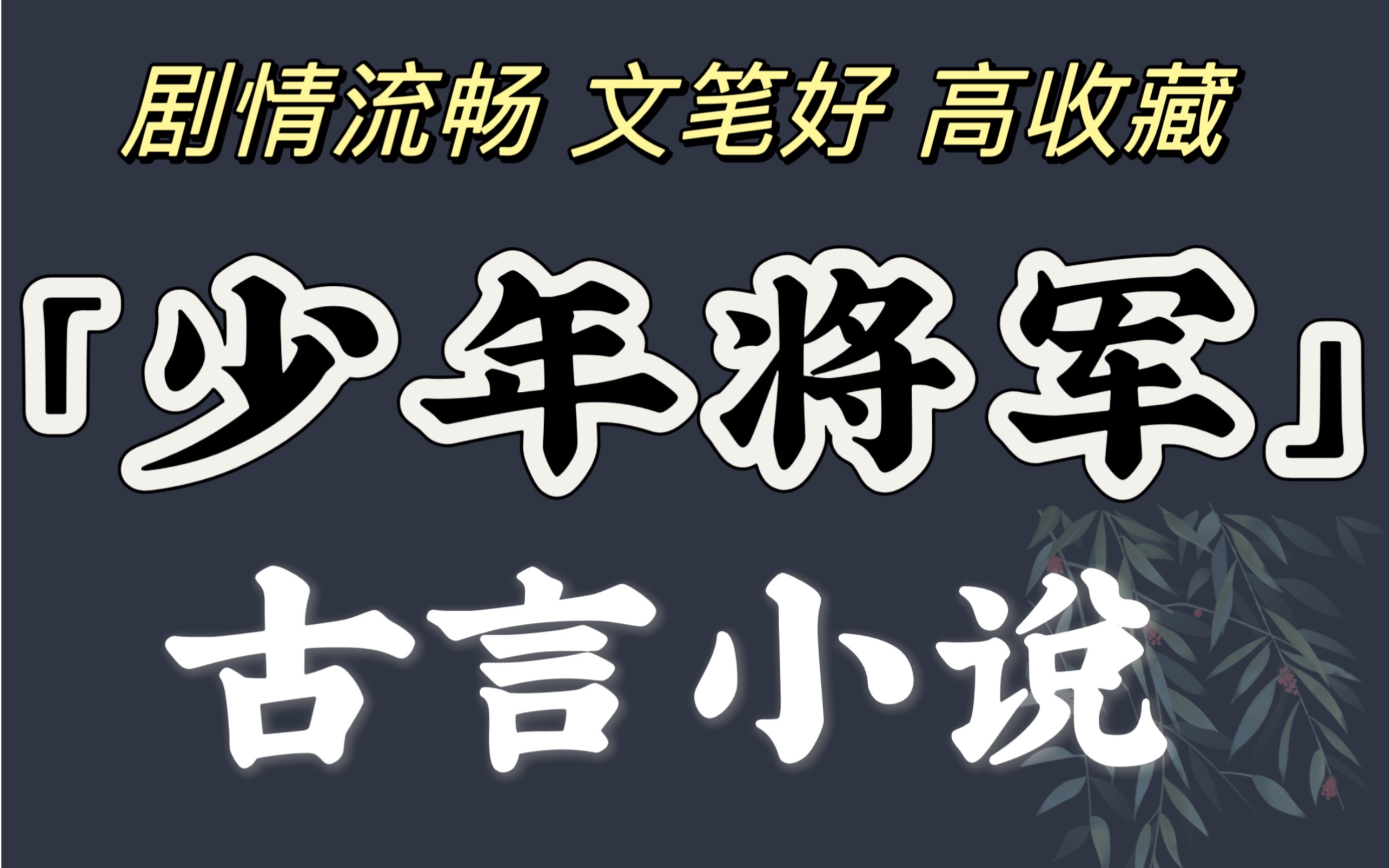 男主是「少年将军」古言小说【bg已完结】哔哩哔哩bilibili