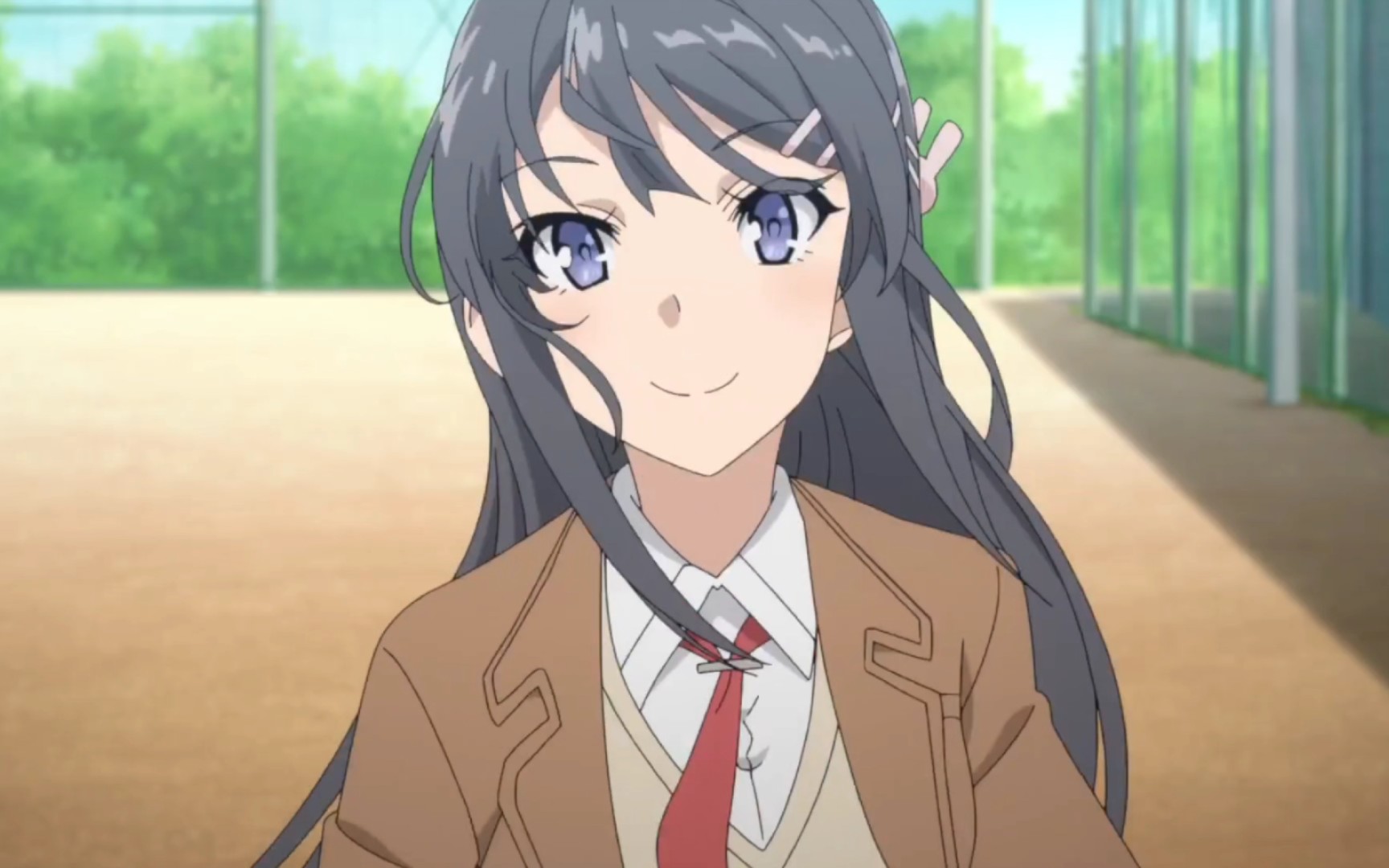 【mad/4k/樱岛麻衣】『青春猪头少年不会兔女郎学姐』(1711ω11