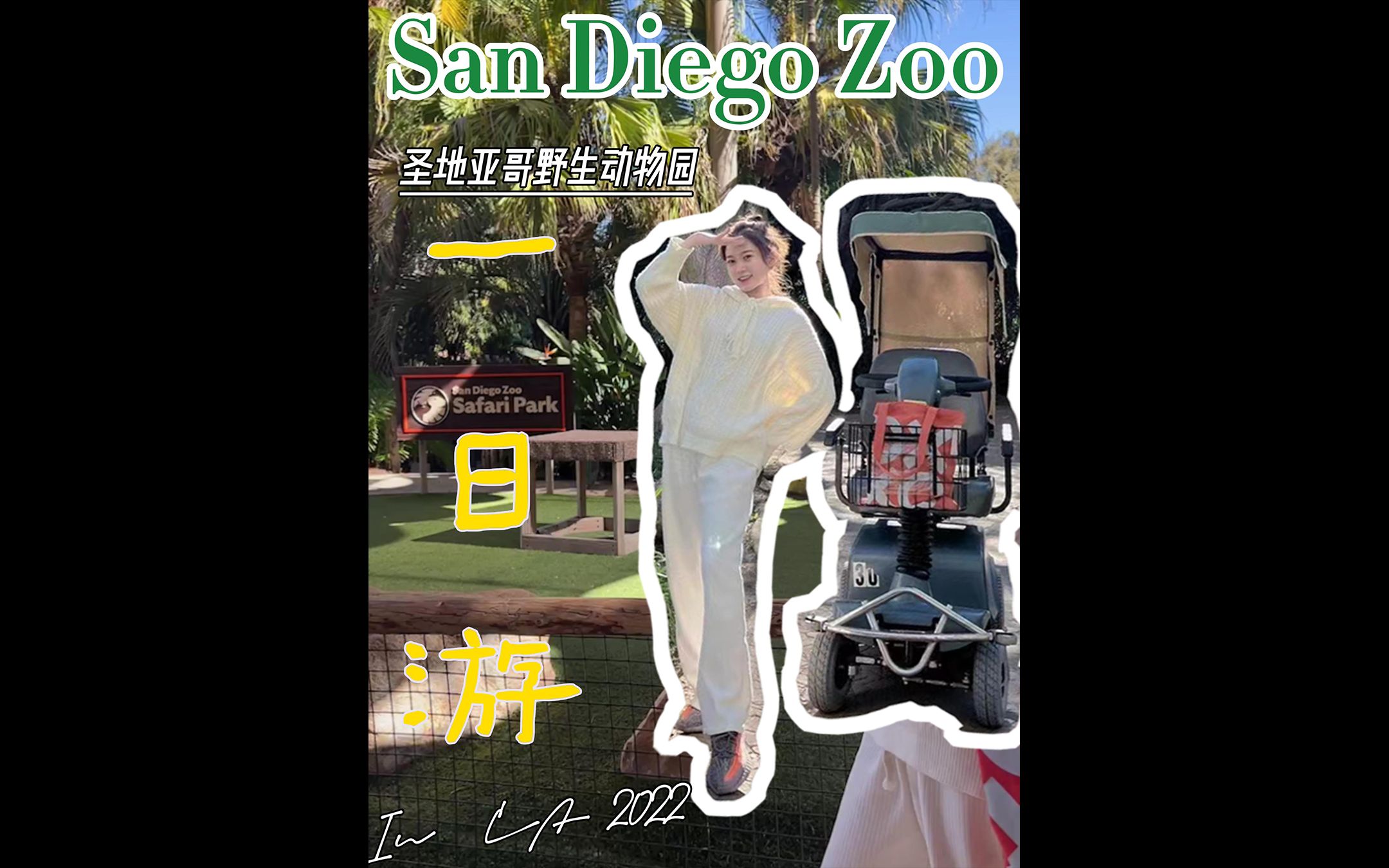 打卡圣地亚哥San Diego Zoo|必去的动物园 2022哔哩哔哩bilibili