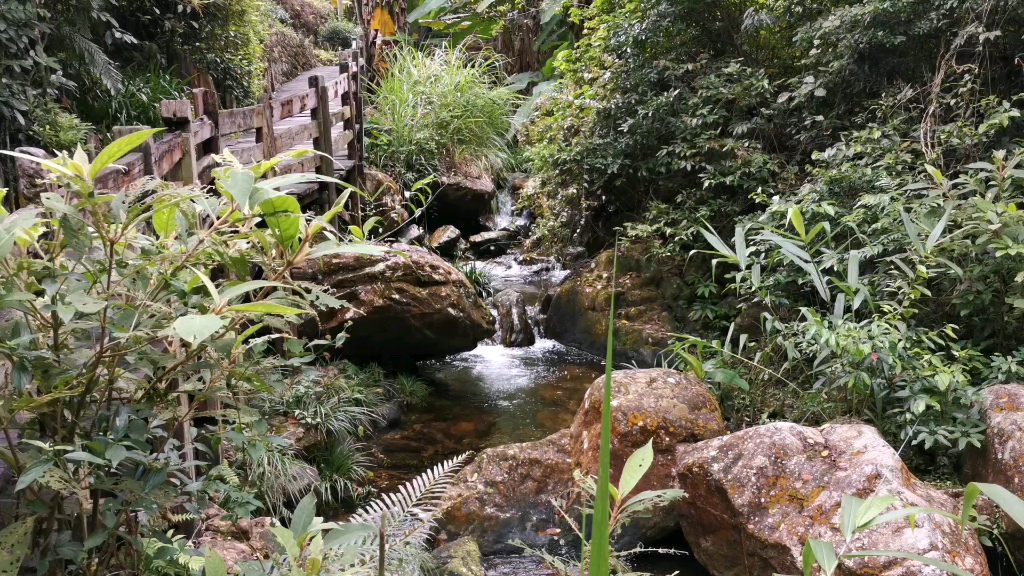 雁南飞桥溪古韵景区图片