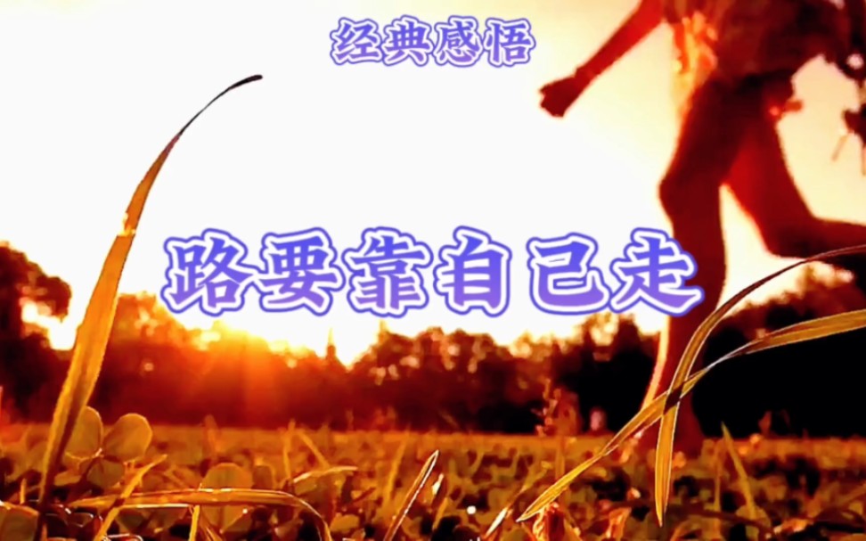 经典感悟-路要靠自己走