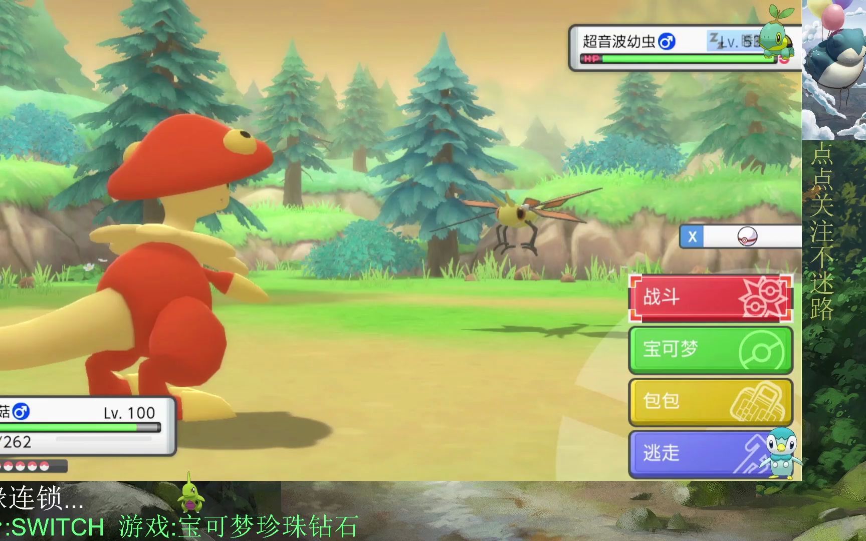 宝可梦dp复刻闪光超音波幼虫!