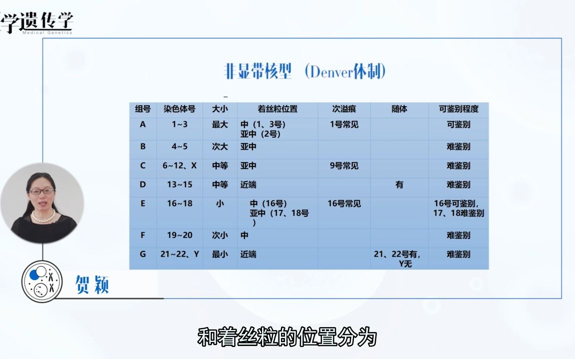 [9.2.1]8.2染色体核型与显带技术哔哩哔哩bilibili