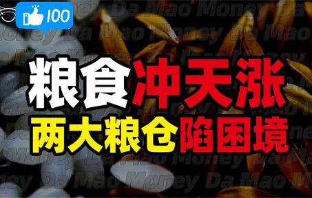 粮食冲天上涨、两大粮仓陷入困境、粮食安全咋办?哔哩哔哩bilibili