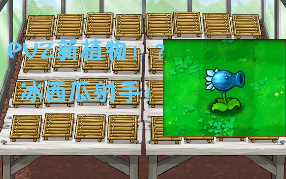 pvz自创植物 - 冰西瓜射手!享受冰西瓜带来的恐惧吧