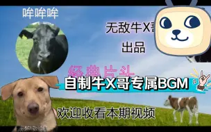 揭秘牛X哥专属BGM制作全过程