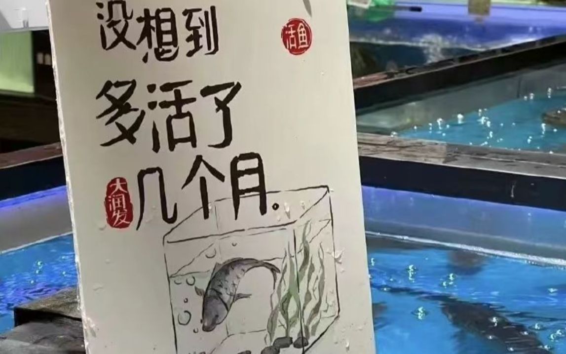 “超市顶流”or“冷宫蔬菜”,哪个才是你的心头爱?哔哩哔哩bilibili