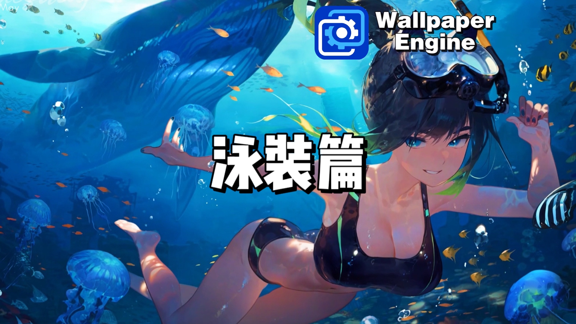 【Wallpaper Engine】动态壁纸推荐:泳装篇哔哩哔哩bilibili