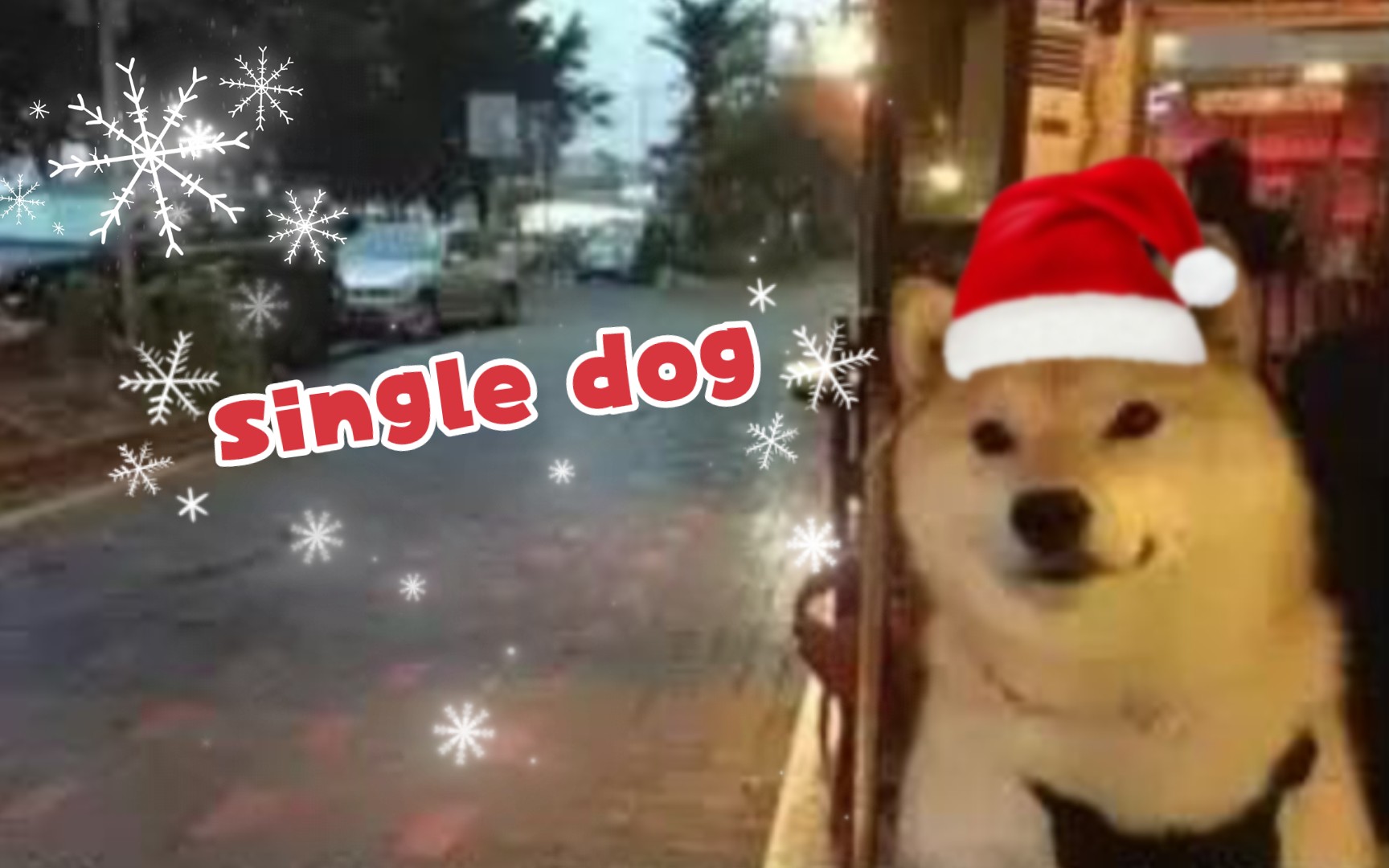 [图]【圣诞歌改编】single dog