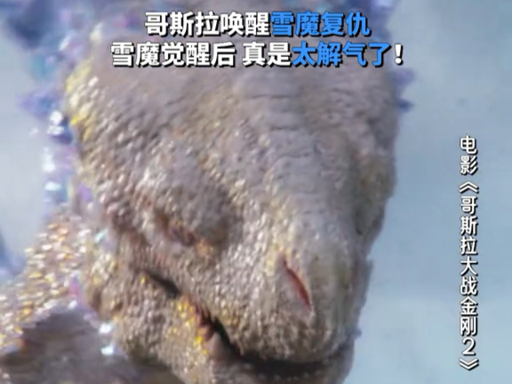 唤醒雪魔联手,猎杀时刻到!雪魔看