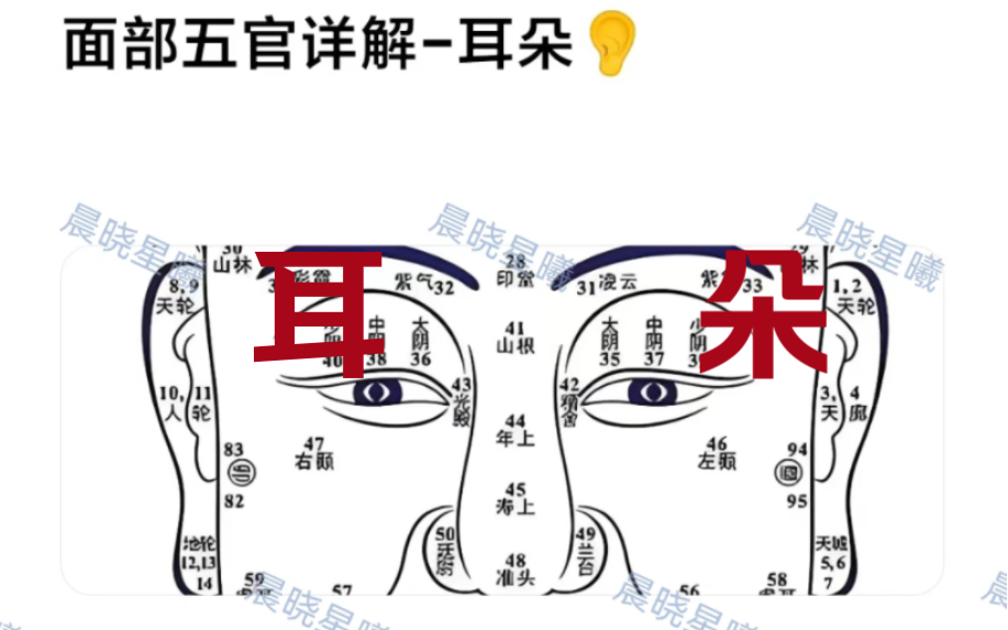 面相学习笔记5–耳部详解哔哩哔哩bilibili